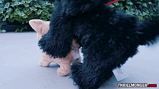 Ohshetrippin - Doggy Dose - Kabrina's First Scene with Anal Creampie!