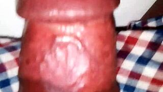 i flash my huge monster cock. it's so big and hard