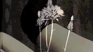 My secret vintage tranny life without Fanny