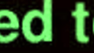 perrita la quiere toda bien dura