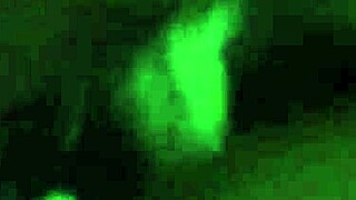 That naughty neighbor is a hot prostitute ready for some fun.