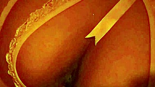 Playing alone with my 22cm dildo, but what if it were a real cock?