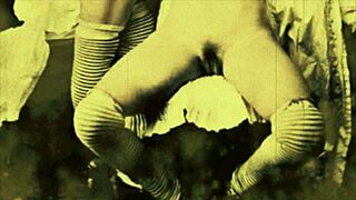 Vintage Threesome From 19th Century.