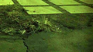 Old man sex unless you're from the sixties and delve that earth