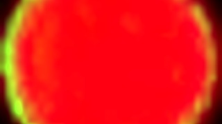 hitzefrei german brunette loves it up her tight ass in 3some fucking