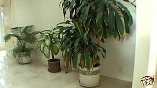 Little Latina Teen Gets Asshole Gaped By Huge Cock In Doggystyle, Blowjob And Facial