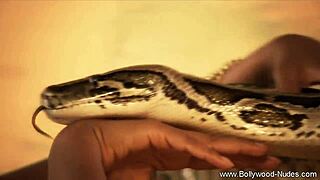 Girl from oriental lands shows off her solo dance moves