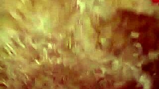 Chini Wini Bingo Hot 3 Peruvian Edition