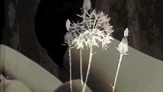 my secret life took a vintage turn