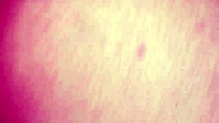 Homemade amateur video collection