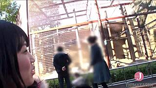 This asian babe sucks cock deep on all fours.