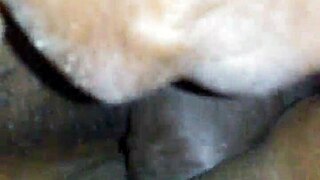 in retro blue films, she says, 'that fat big black cock is pounding my pussy'