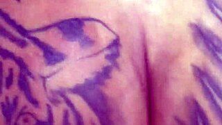 the story of kamilly campos in malandrona style as shemale