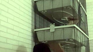 I Got Into Horny PISS PLAY On My Sofa With My Kinky Partner