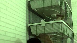 I Got Into Horny PISS PLAY On My Sofa With My Kinky Partner