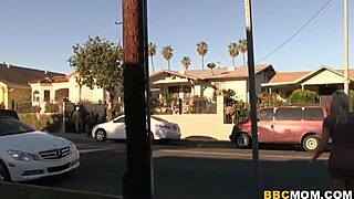 pressley carter and devon lee try interracial sex