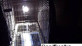Sexy Dani Daniels as Bitch in Cage, Touching Her Big Tits and Pussy