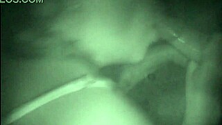 Sucking cocks and giving in the glory hole, complete on Xvideos Red.