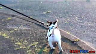 Wow! Leeds Geek's Cock Devoured by Inked Brit!