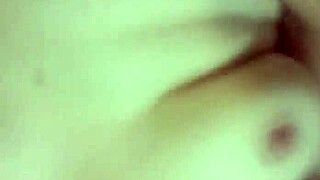 Video from november 27, 2016