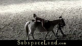 captive slaves humiliated through bondage and rough fuck at the bdsm stable arrest!