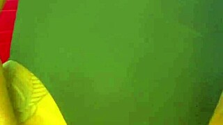 Novinha Gostosa Deixou Seu Colega de Quarto Fuder Sua Bucetinha e Gozar Ela Todinha Aproveitamos Antes que Alguém Chegasse Rosa Vermelha