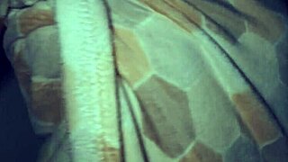 wife for a good night with big tits and ass