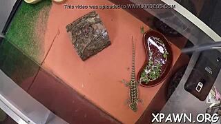 Playful Whore Amateur Groans While Sucking In Contest.