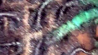 Bbw wife sucks dick and gets fucked