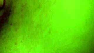 Stop Studying and Suck My Dick