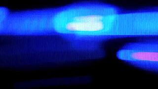 JC Wilds Alone with Stepdad Interactive Sex