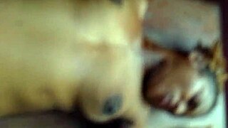 Me and You Bent Over in Doggy for Intense Orgasm