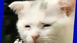 ¿qué tan malo puede ser un hentai si tsui no sora reseña?