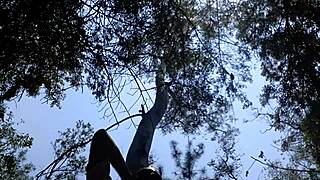 Mexican twink gets outdoor anal fuck!