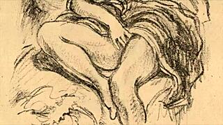 vintage antique illustrations collection