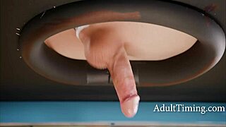 ebony avery milks trannies at farm!