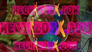 म्यूजिक