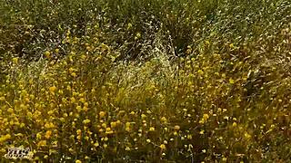 Roleplay with wife and her lover