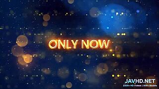 Japanese Beauties in Lingerie