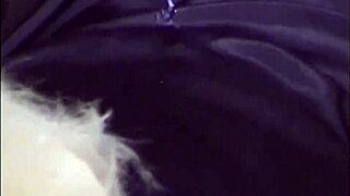 कॉक वर्शिप