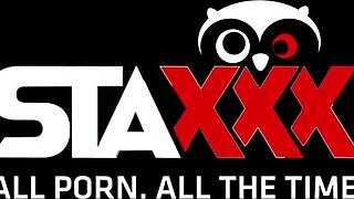 chubby brunette bbw babe sucks big cock and gets fucked in pussy and ass in hotel room.