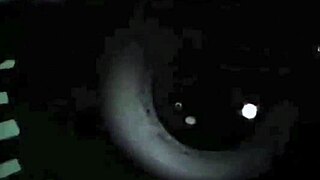 the erotic alphabet book