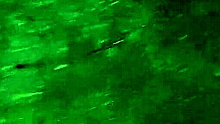 Invited Neighbor To Admire Flowers Then Fucked Her Mouth For Orgasm