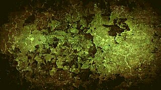 Dark Lantern Entertainment Presents Vintage Women Of The World From My Secret Life