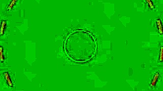 सर्बियन