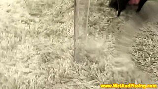 Real Japanese Group Sex Uncensored Vol 71 3some Gangbang Asian Banging Amateurs Hardcore Compilation