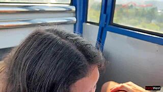 Teen beauty gives close up blowjob on ferris wheel in public amusement park