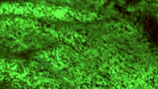 redhot fox babe in 1on1 sex with milf, cowgirl and doggystyle