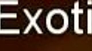 Asian Blowjob Skills Shine for Serious Cock Lovers