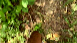 cruising gay sex turns wild outdoors with raw anal and cum swallowing